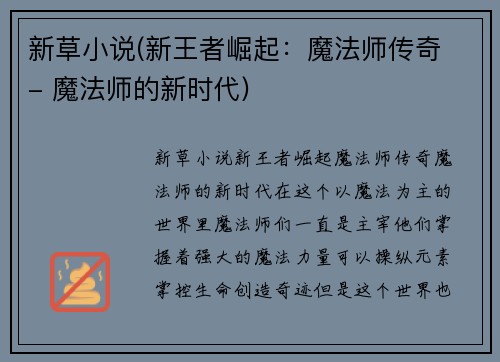 新草小说(新王者崛起：魔法师传奇 - 魔法师的新时代)